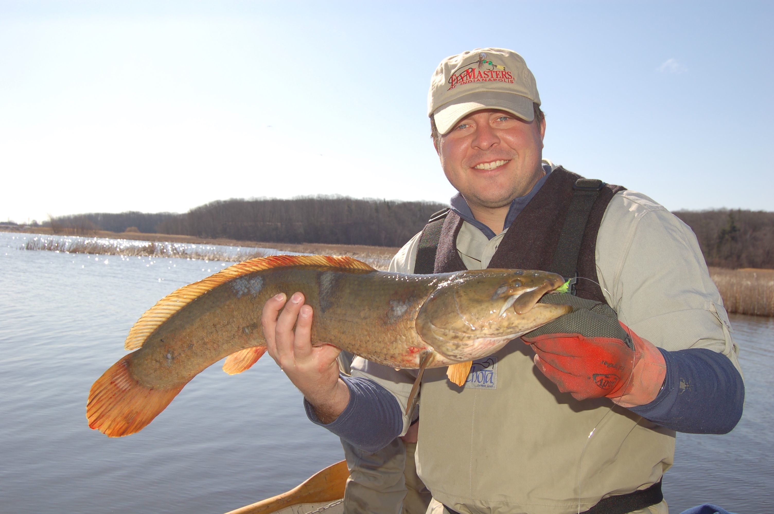 A Bowfin for the Books | Conservation Federation of Missouri
 Water Dog Freshwater Fish